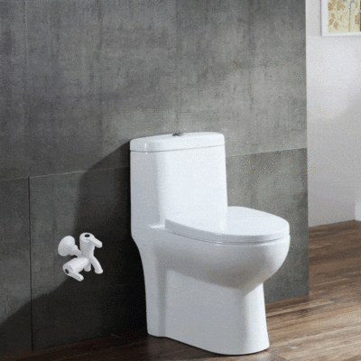 1 BHK - Toilet